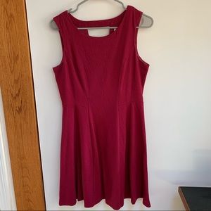 Lauren Conrad maroon skater dress